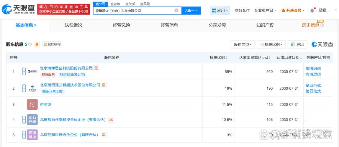 双轮驱动 储能技术服务与人工智能软件开发如何重塑产业未来